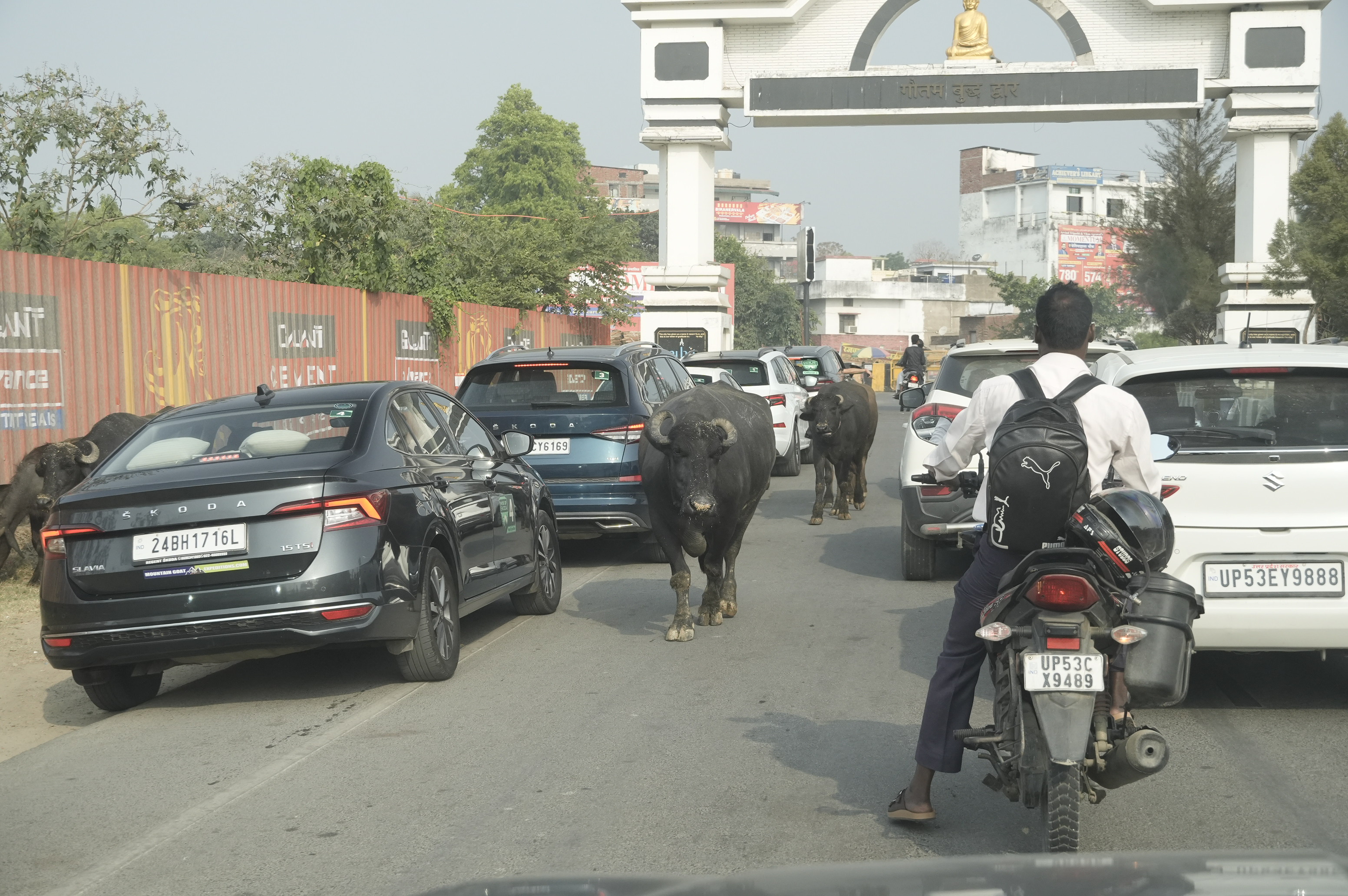 Škoda cars are becoming an increasingly common sight on India's roads